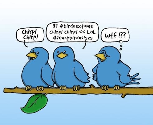twitter birds wtf